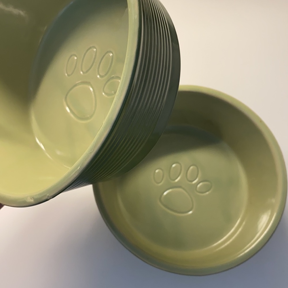 Two ceramic dog bowls